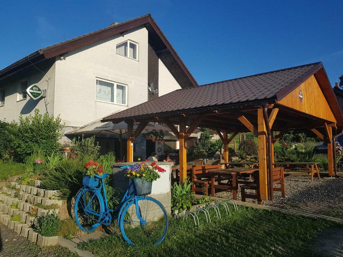Penzion U Vichu Červená Voda Extérieur photo
