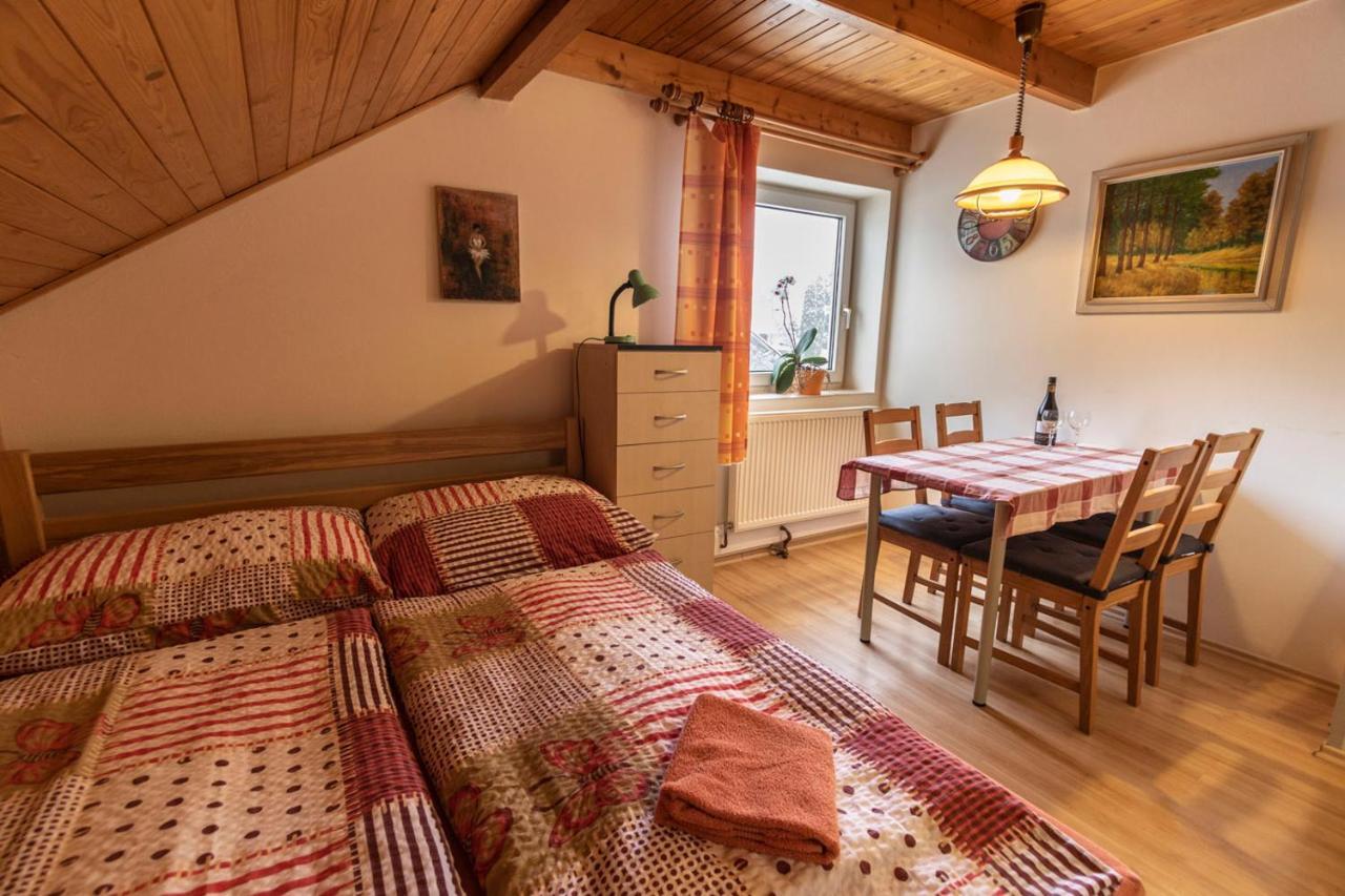 Penzion U Vichu Červená Voda Extérieur photo
