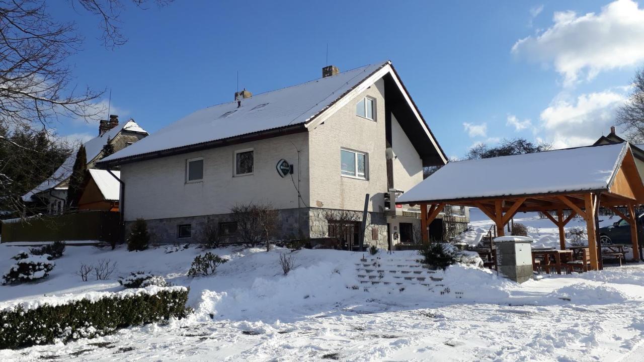 Penzion U Vichu Červená Voda Extérieur photo