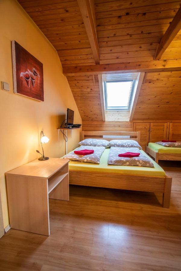 Penzion U Vichu Červená Voda Extérieur photo
