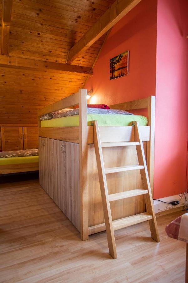 Penzion U Vichu Červená Voda Extérieur photo